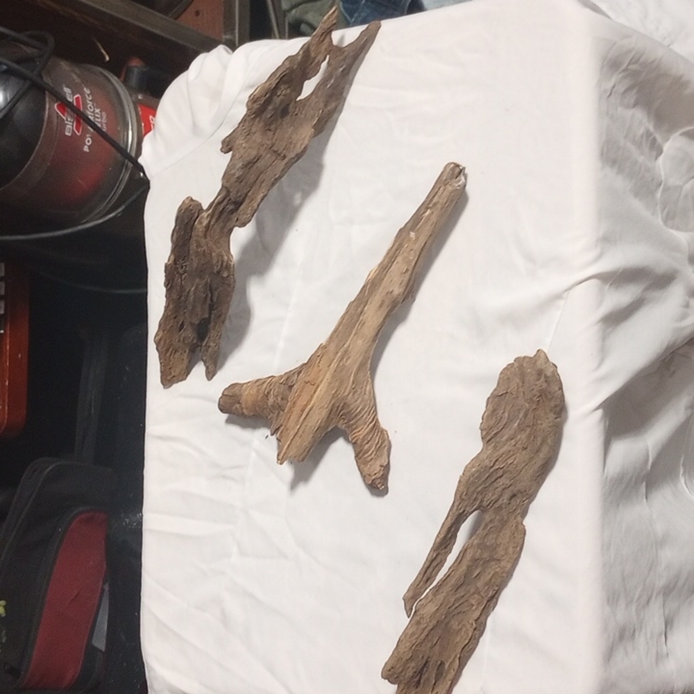 Driftwood